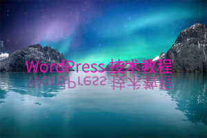 WordPress和子比主题模板&网站美化方法教程2024/10/12更新-小白兔技术部落